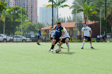 Enlarge photo 81