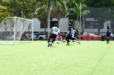 Enlarge photo 80
