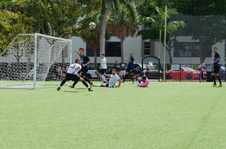 Enlarge photo 83