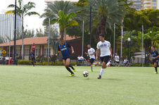 Enlarge photo 91