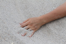 Enlarge photo 265