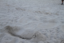 Enlarge photo 289