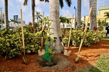 Arbor Day Celebration