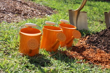 Arbor Day Ceremony