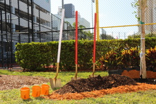 Enlarge photo 7