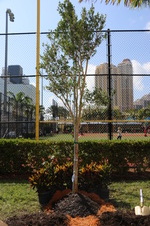 Enlarge photo 34