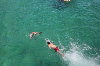 Enlarge photo 37