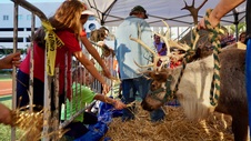 Enlarge photo 24