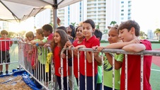 Enlarge photo 30