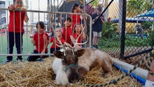 Enlarge photo 52