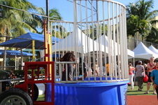 Enlarge photo 45