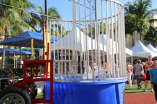 Enlarge photo 46
