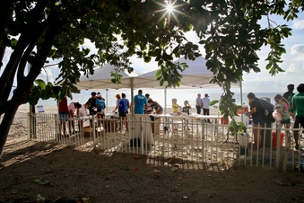 Enlarge photo 29