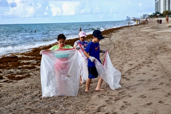 Enlarge photo 33