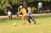 Enlarge photo 30