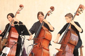 Enlarge photo 41