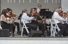Enlarge photo 119