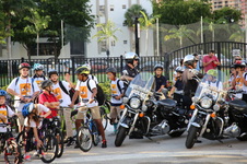 Enlarge photo 50