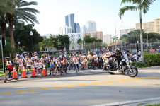 Enlarge photo 51