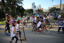 Enlarge photo 59