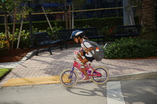 Enlarge photo 84