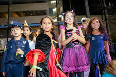 Enlarge photo 184