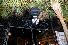 Enlarge photo 251