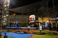 Enlarge photo 355