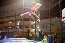 Enlarge photo 391