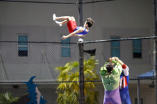 Enlarge photo 393