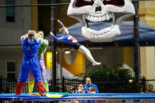 Enlarge photo 396