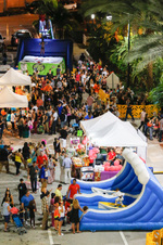 Enlarge photo 51