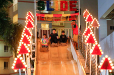 Enlarge photo 57