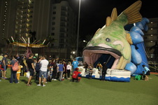 Enlarge photo 24