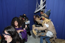 Enlarge photo 48