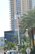 Enlarge photo 107