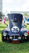 Enlarge photo 71