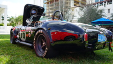 Enlarge photo 74