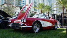Enlarge photo 85