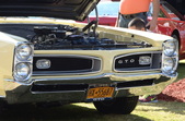 Enlarge photo 73