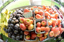 Enlarge photo 3