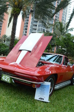 Enlarge photo 35