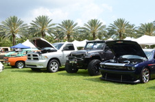 Enlarge photo 57