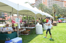 Enlarge photo 96