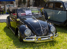 Enlarge photo 35
