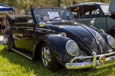 Enlarge photo 37