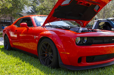 Enlarge photo 51