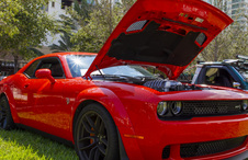 Enlarge photo 52