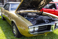 Enlarge photo 59