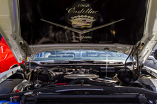 Enlarge photo 63